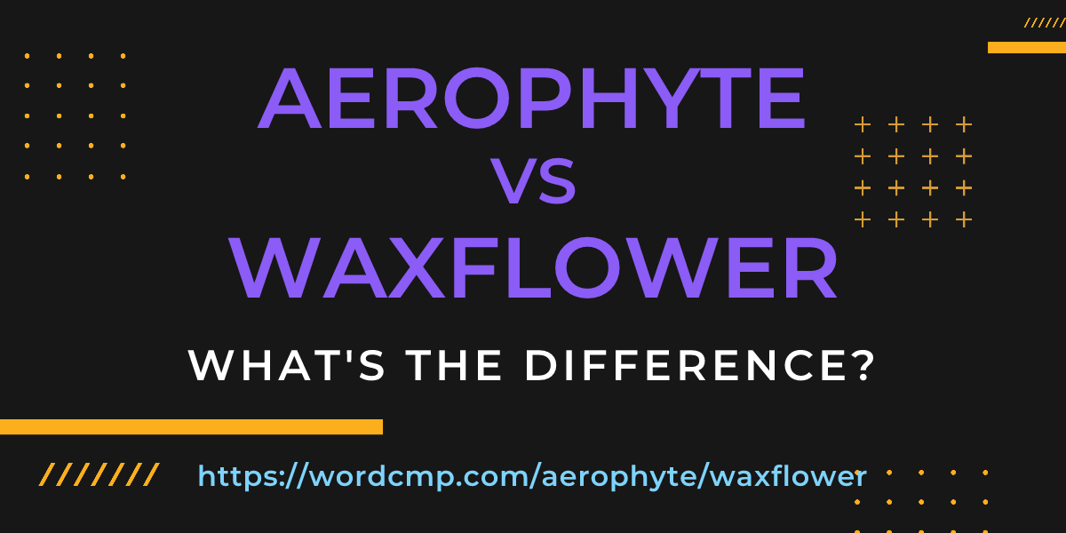 Difference between aerophyte and waxflower