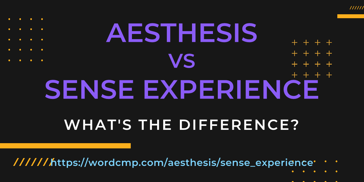 Difference between aesthesis and sense experience