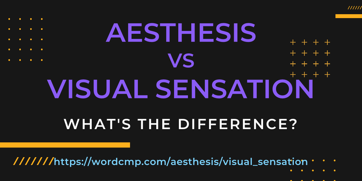 Difference between aesthesis and visual sensation