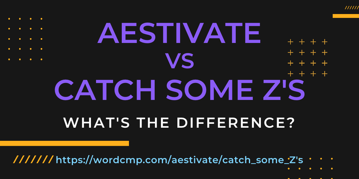 Difference between aestivate and catch some Z's