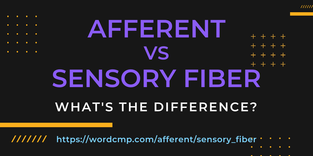 Difference between afferent and sensory fiber