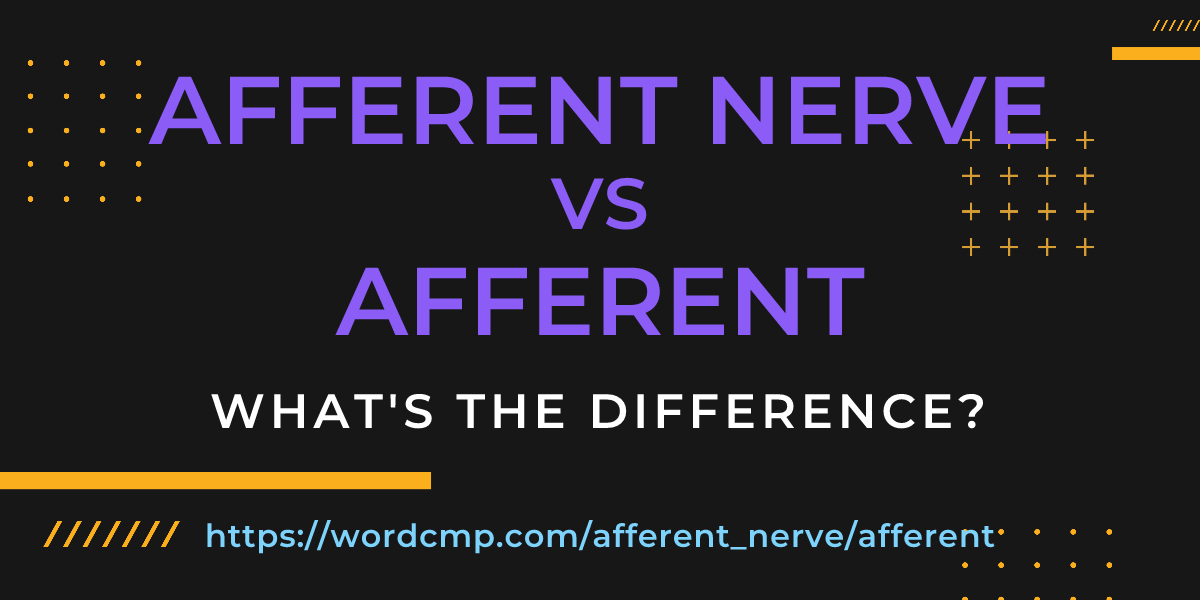 Difference between afferent nerve and afferent