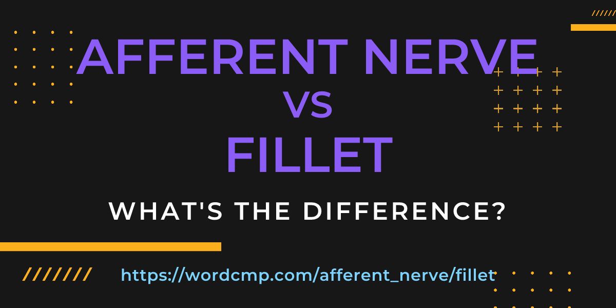 Difference between afferent nerve and fillet