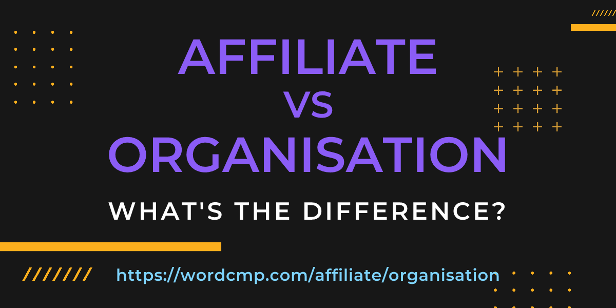 Difference between affiliate and organisation