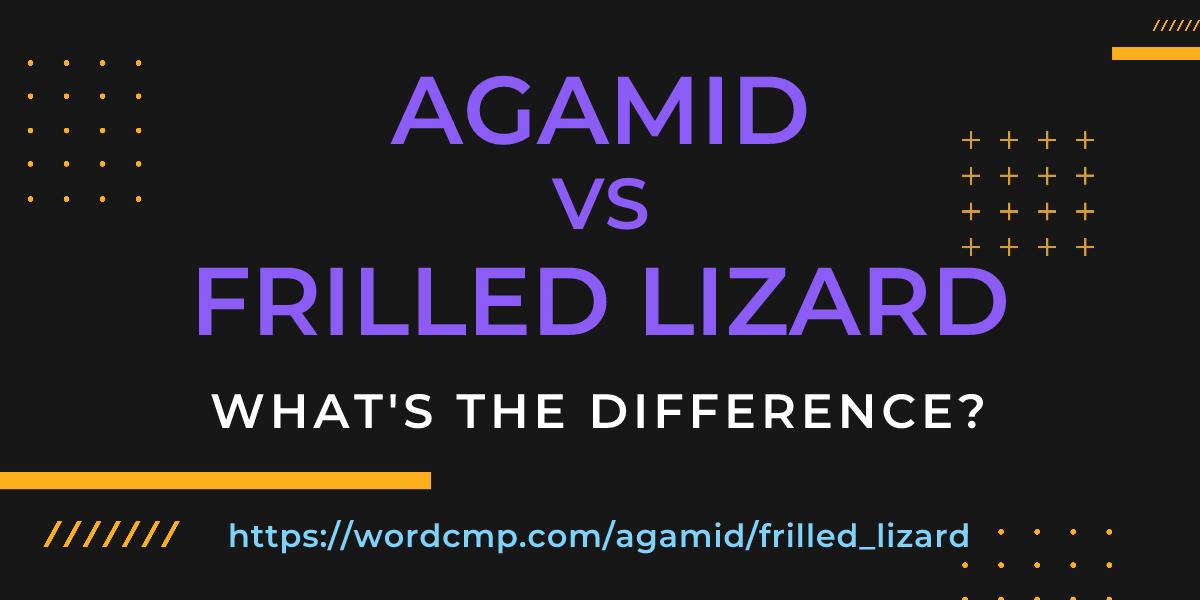Difference between agamid and frilled lizard
