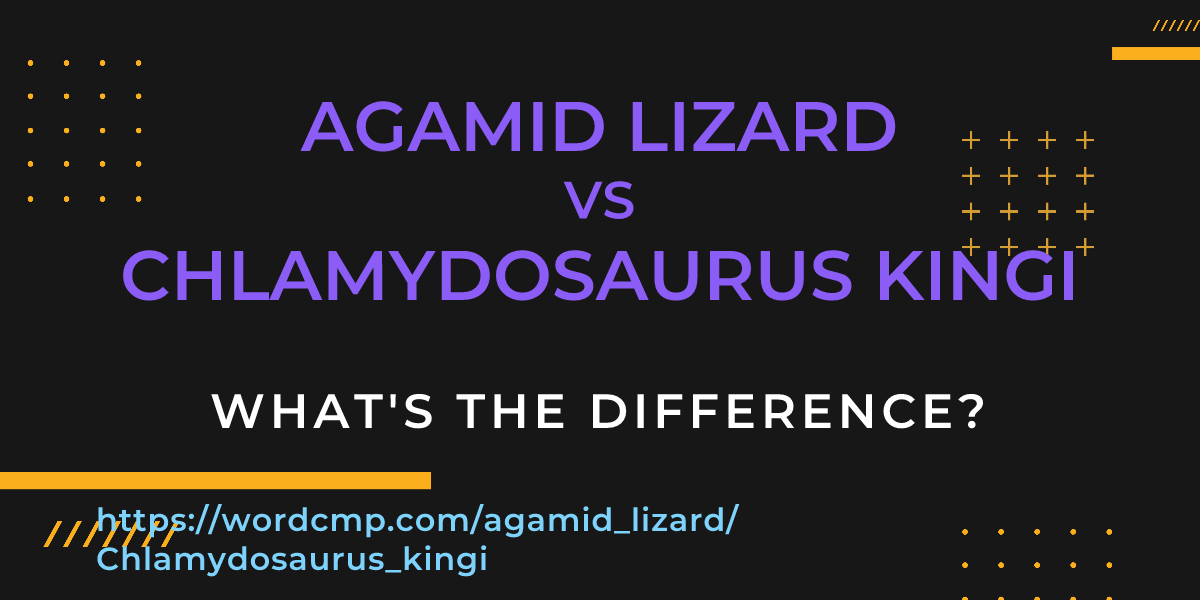 Difference between agamid lizard and Chlamydosaurus kingi