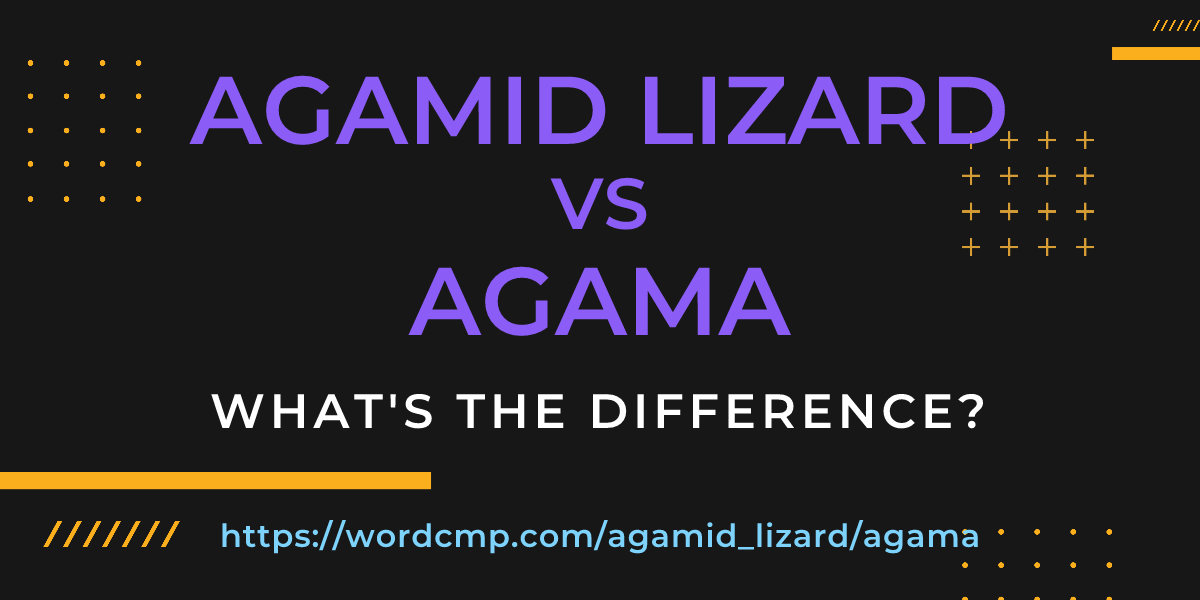 Difference between agamid lizard and agama