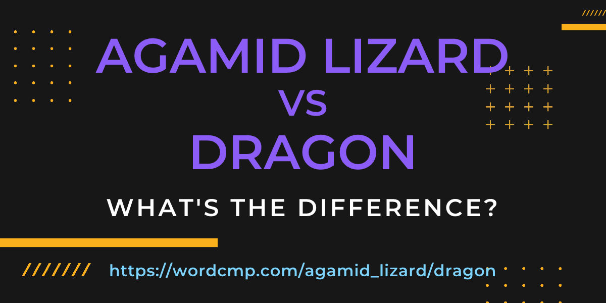 Difference between agamid lizard and dragon