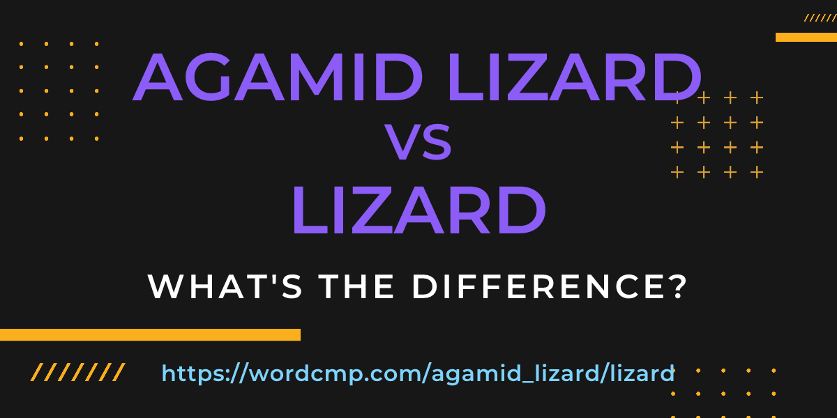 Difference between agamid lizard and lizard