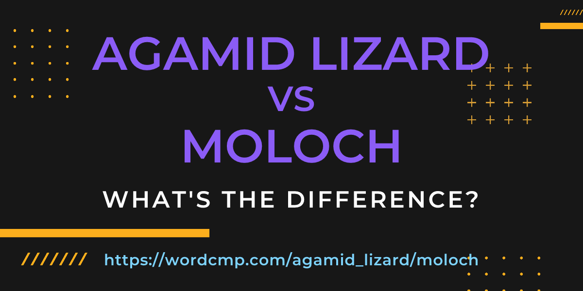 Difference between agamid lizard and moloch