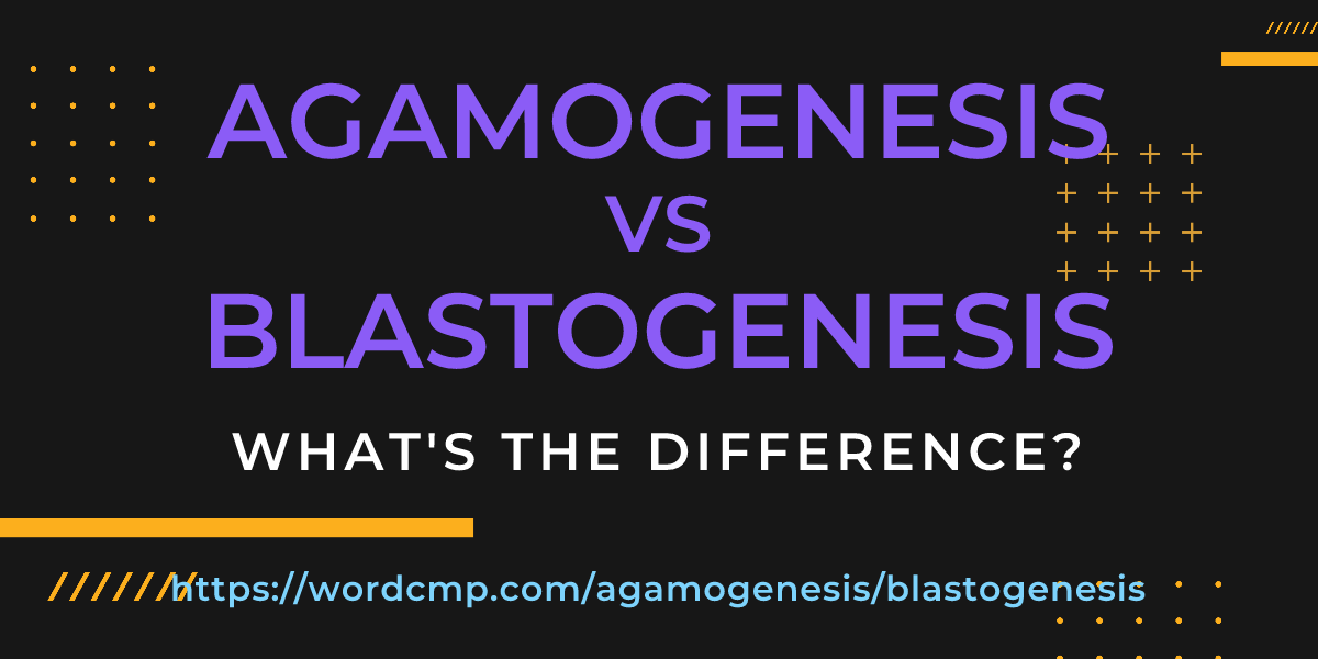 Difference between agamogenesis and blastogenesis