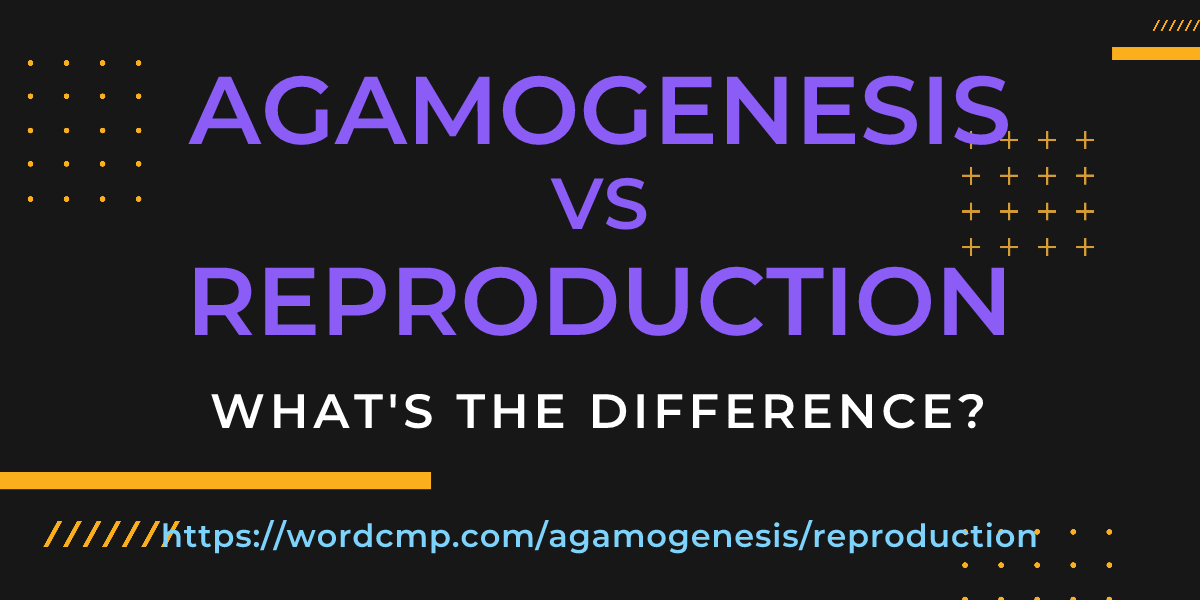 Difference between agamogenesis and reproduction