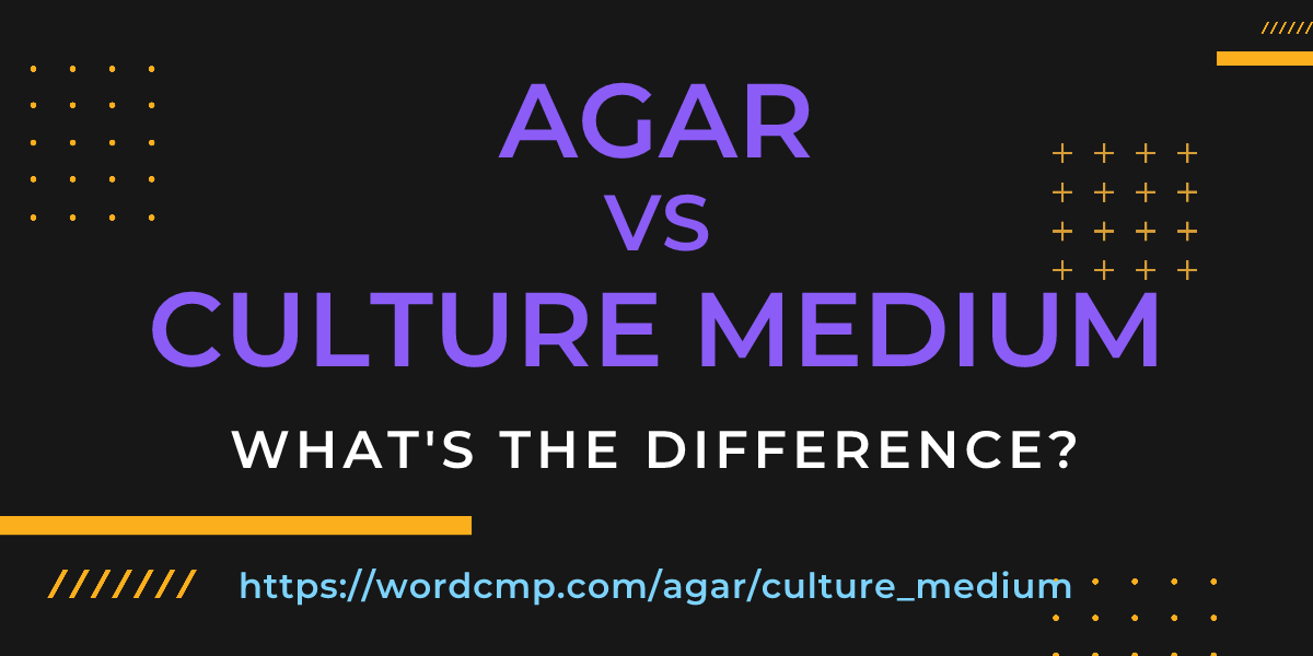 Difference between agar and culture medium