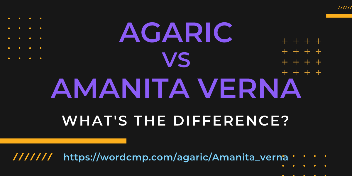Difference between agaric and Amanita verna