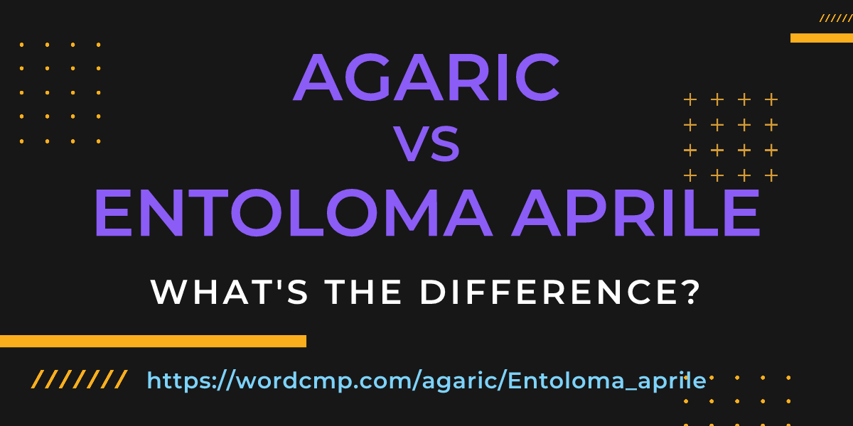 Difference between agaric and Entoloma aprile