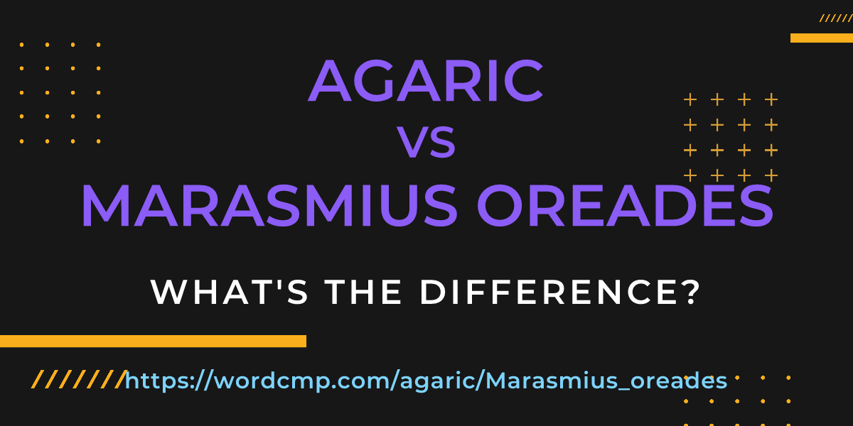 Difference between agaric and Marasmius oreades