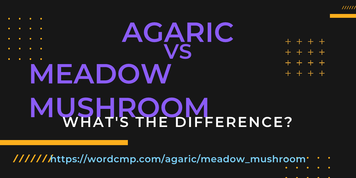 Difference between agaric and meadow mushroom