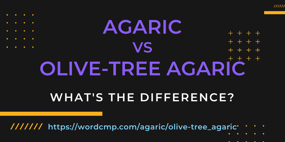 Difference between agaric and olive-tree agaric