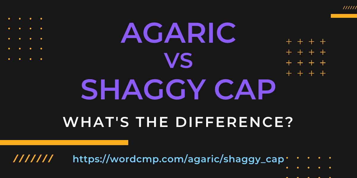 Difference between agaric and shaggy cap