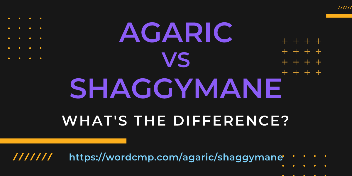 Difference between agaric and shaggymane