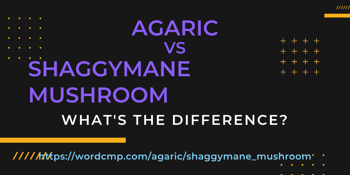 Difference between agaric and shaggymane mushroom
