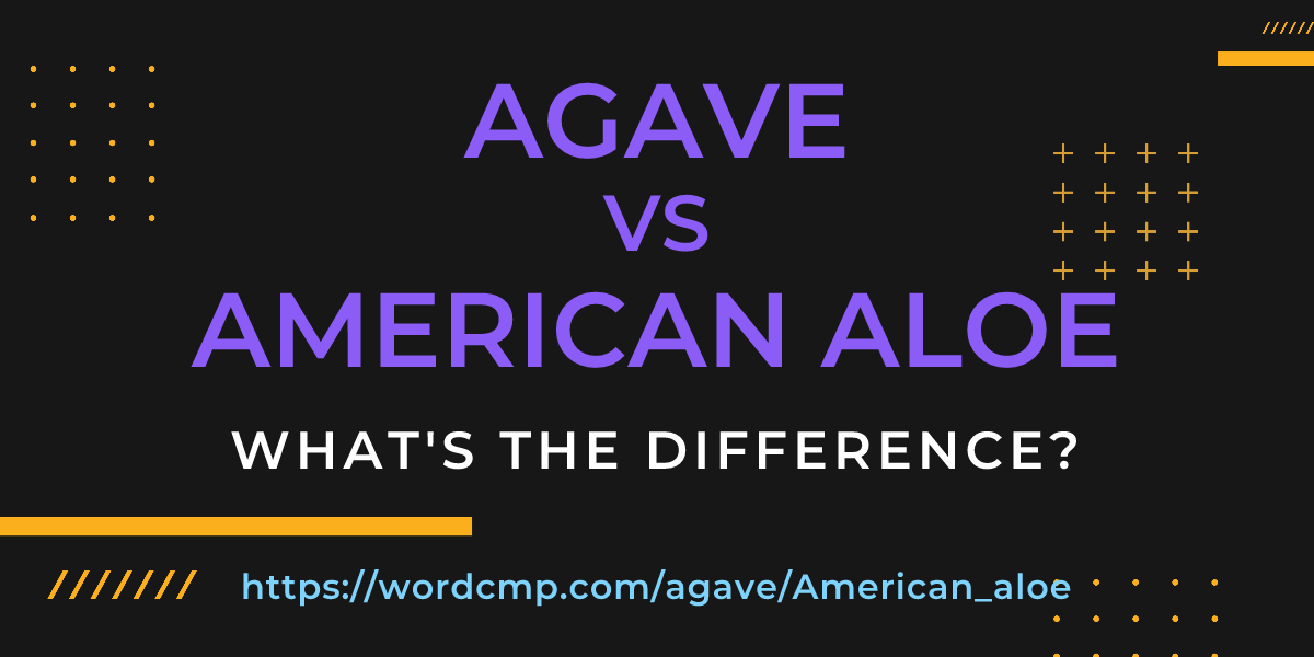 Difference between agave and American aloe