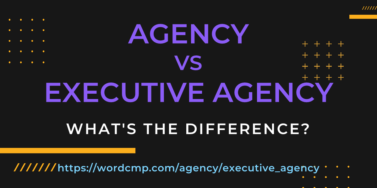 Difference between agency and executive agency