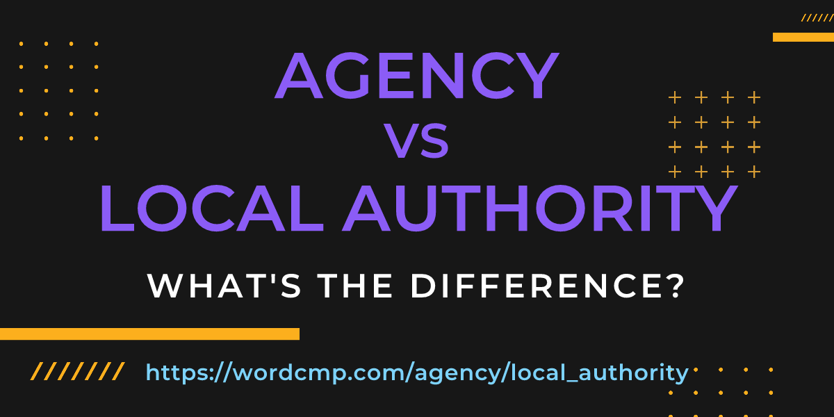 Difference between agency and local authority