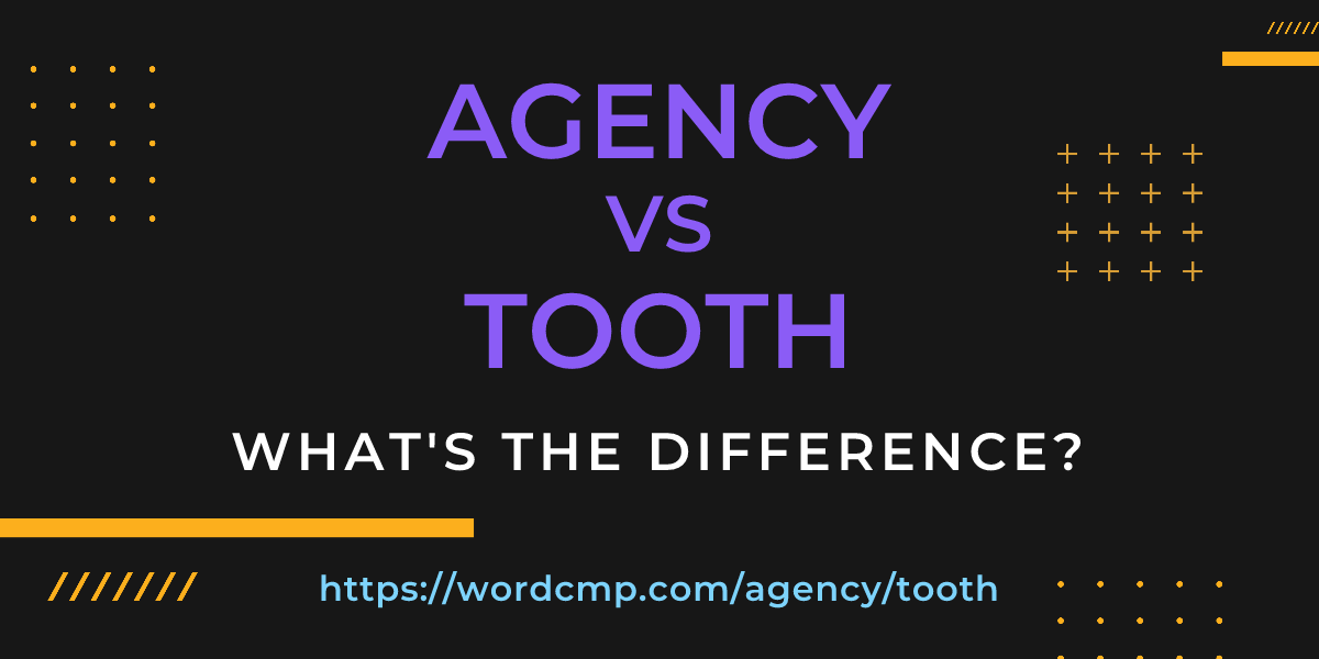 Difference between agency and tooth