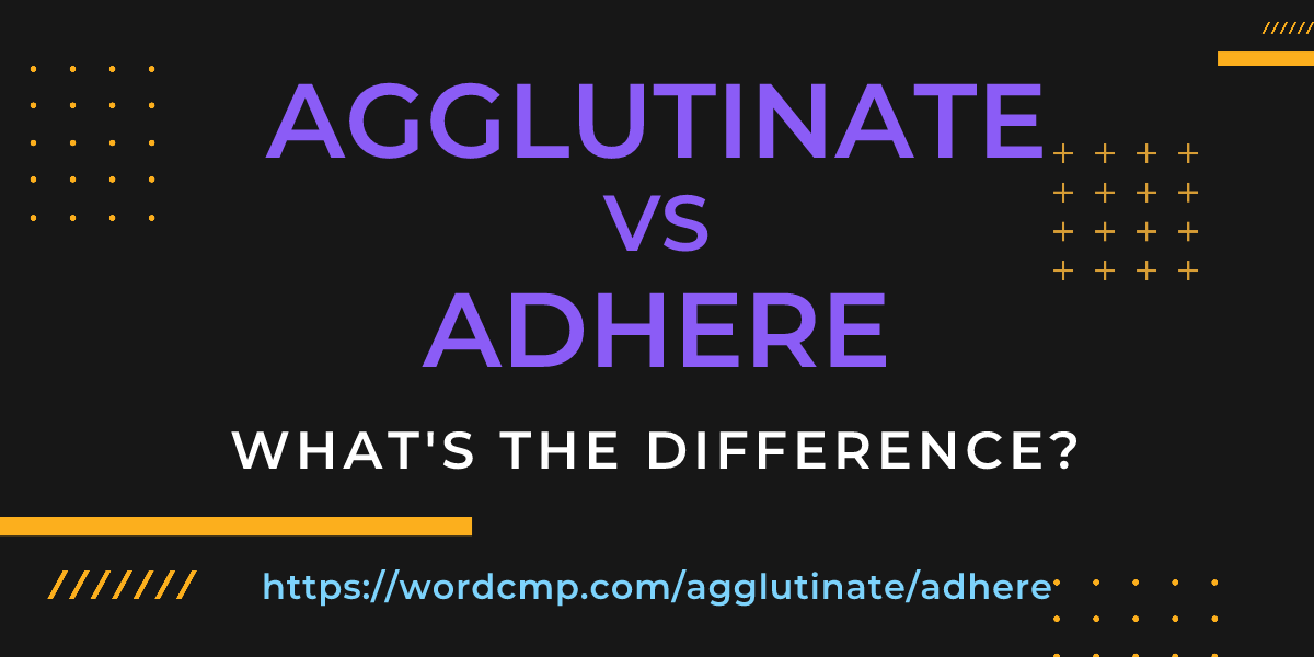 Difference between agglutinate and adhere