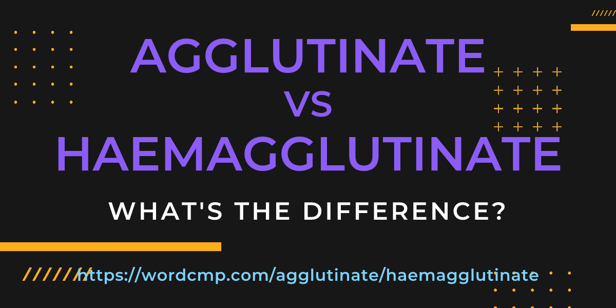 Difference between agglutinate and haemagglutinate