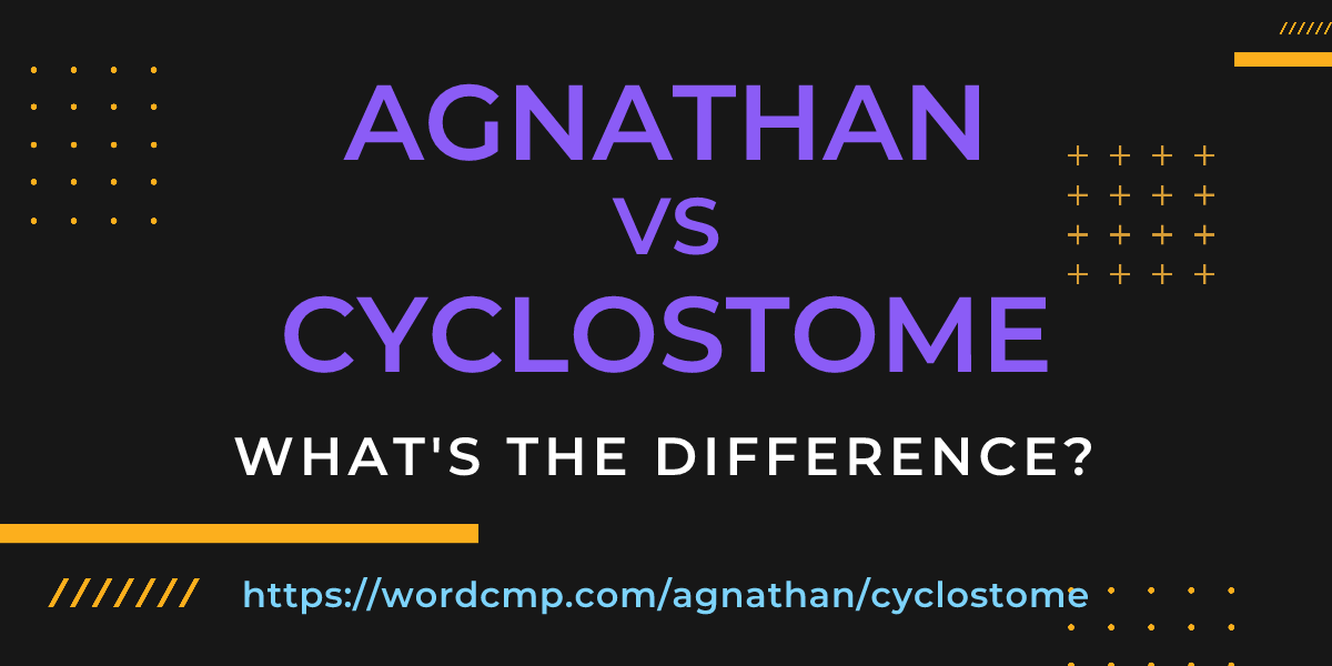Difference between agnathan and cyclostome