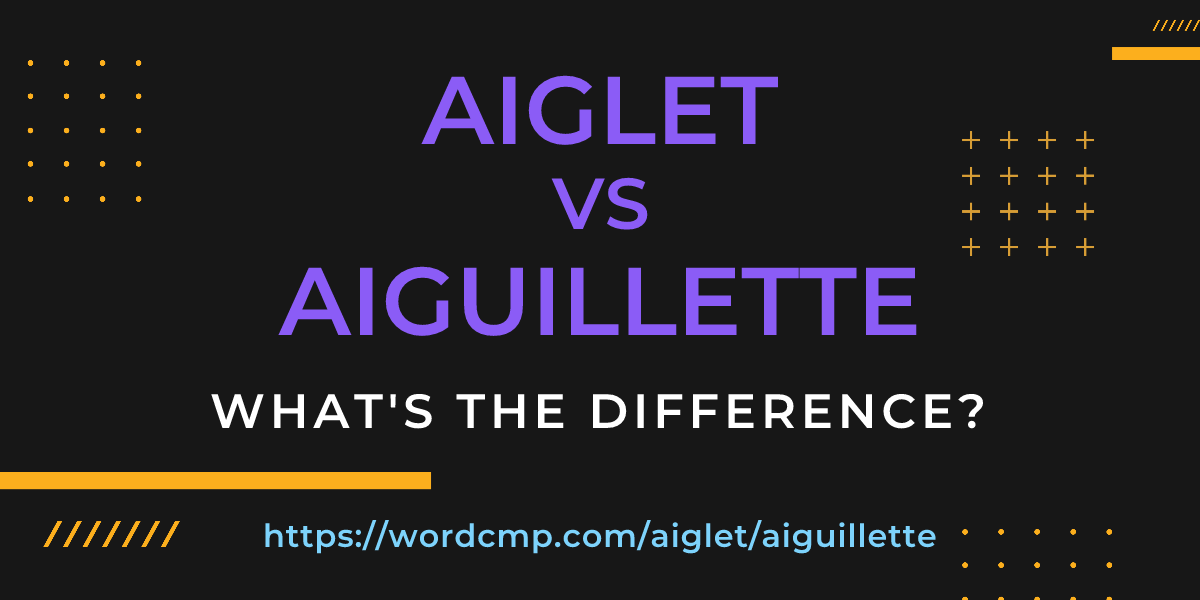 Difference between aiglet and aiguillette