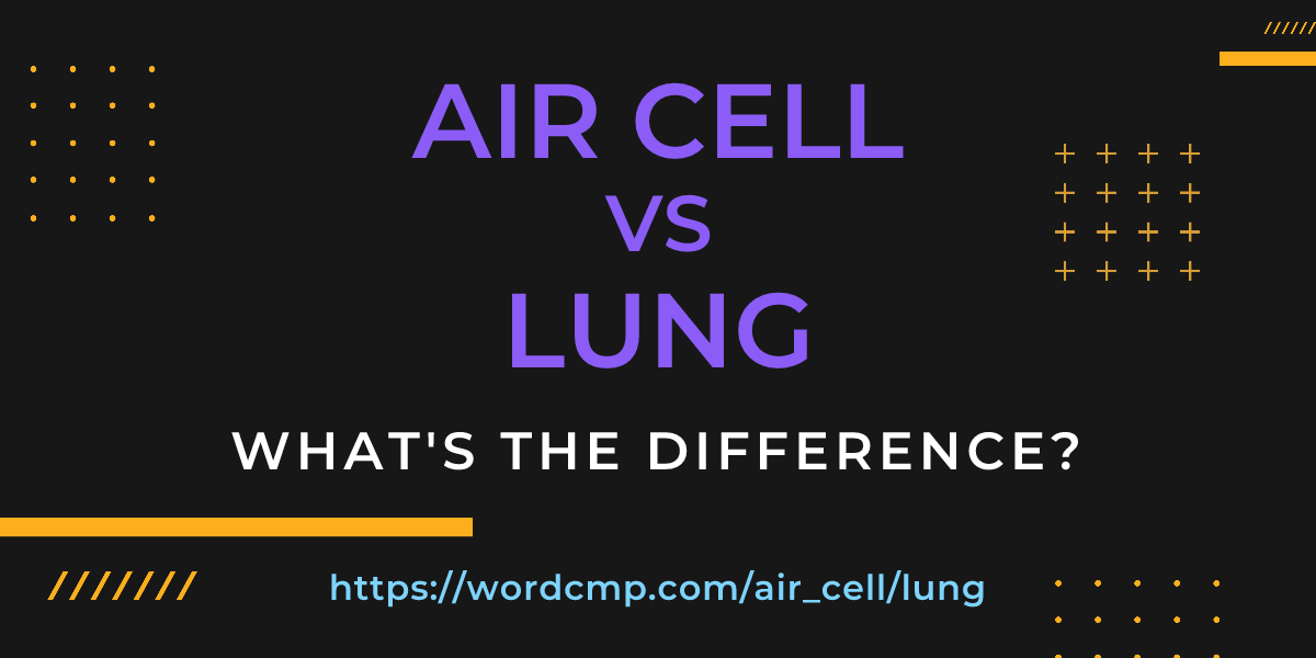 Difference between air cell and lung