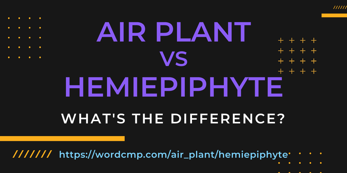 Difference between air plant and hemiepiphyte