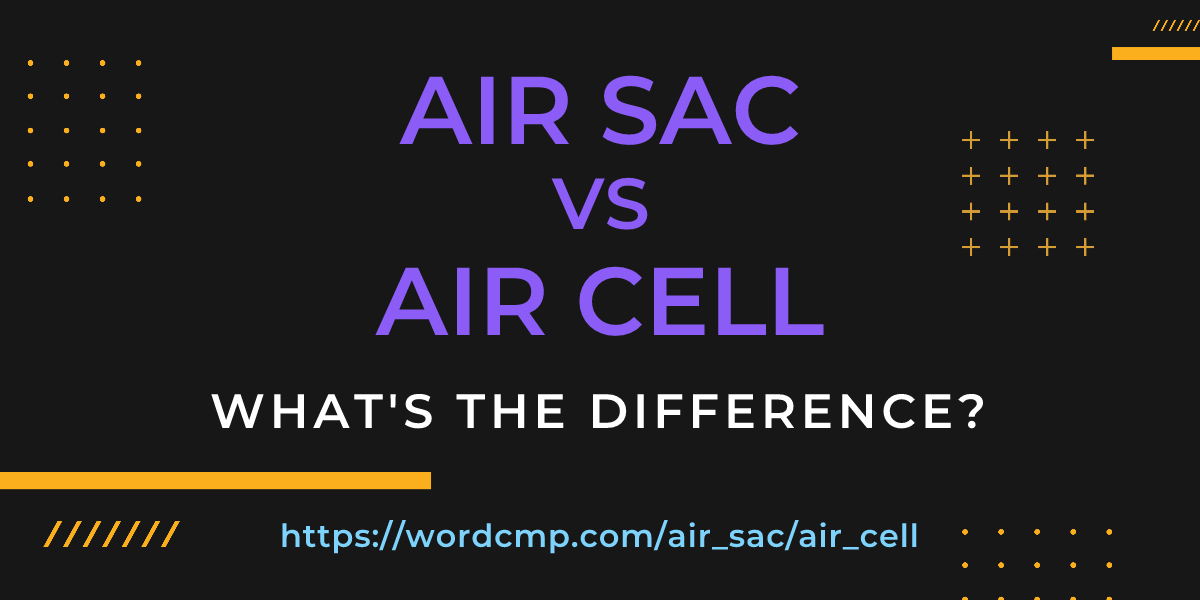 Difference between air sac and air cell