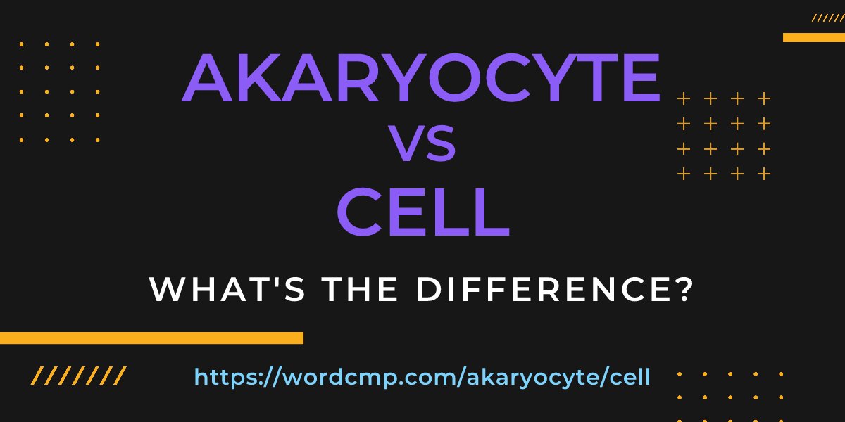 Difference between akaryocyte and cell