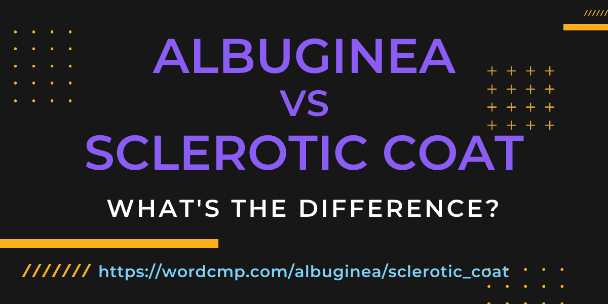 Difference between albuginea and sclerotic coat