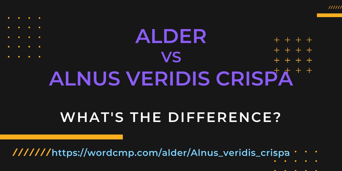Difference between alder and Alnus veridis crispa