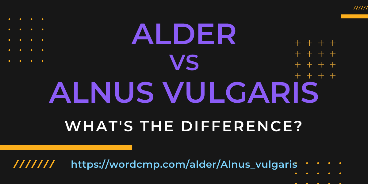 Difference between alder and Alnus vulgaris