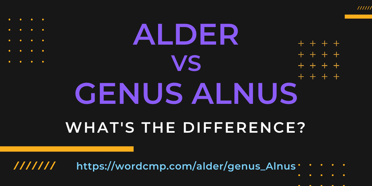 Difference between alder and genus Alnus