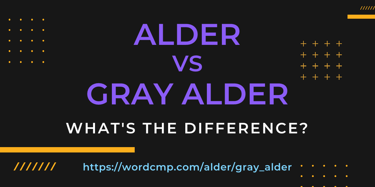 Difference between alder and gray alder