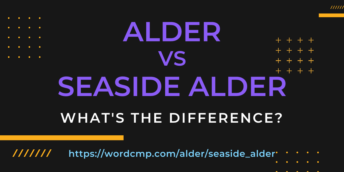 Difference between alder and seaside alder