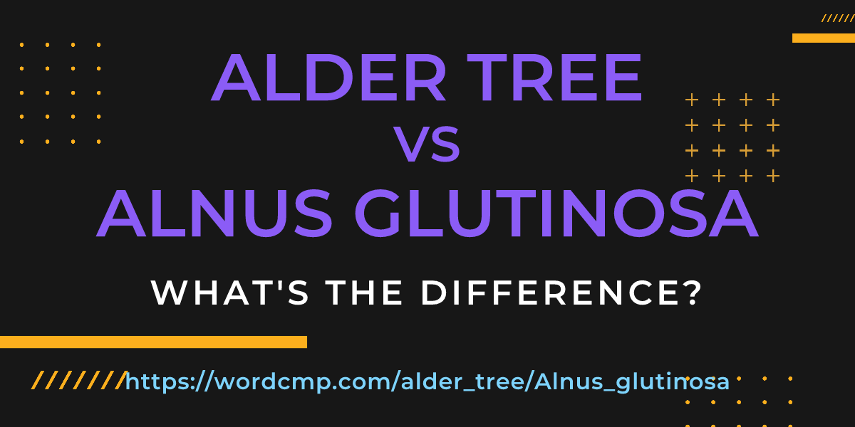 Difference between alder tree and Alnus glutinosa