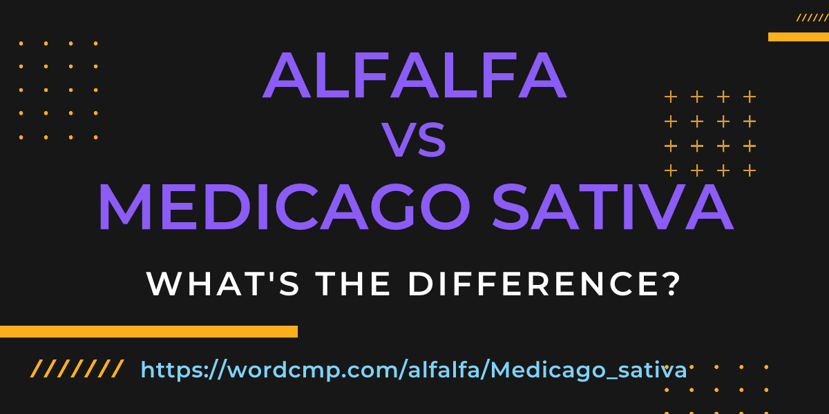 Difference between alfalfa and Medicago sativa