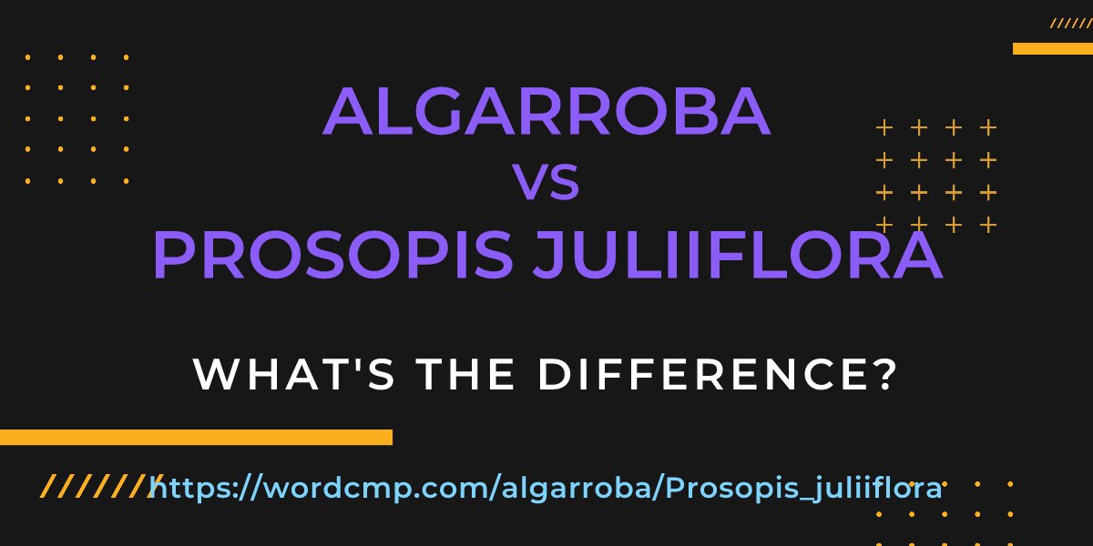 Difference between algarroba and Prosopis juliiflora