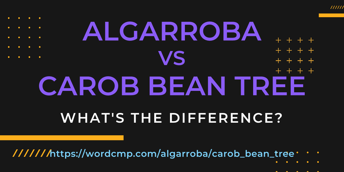 Difference between algarroba and carob bean tree