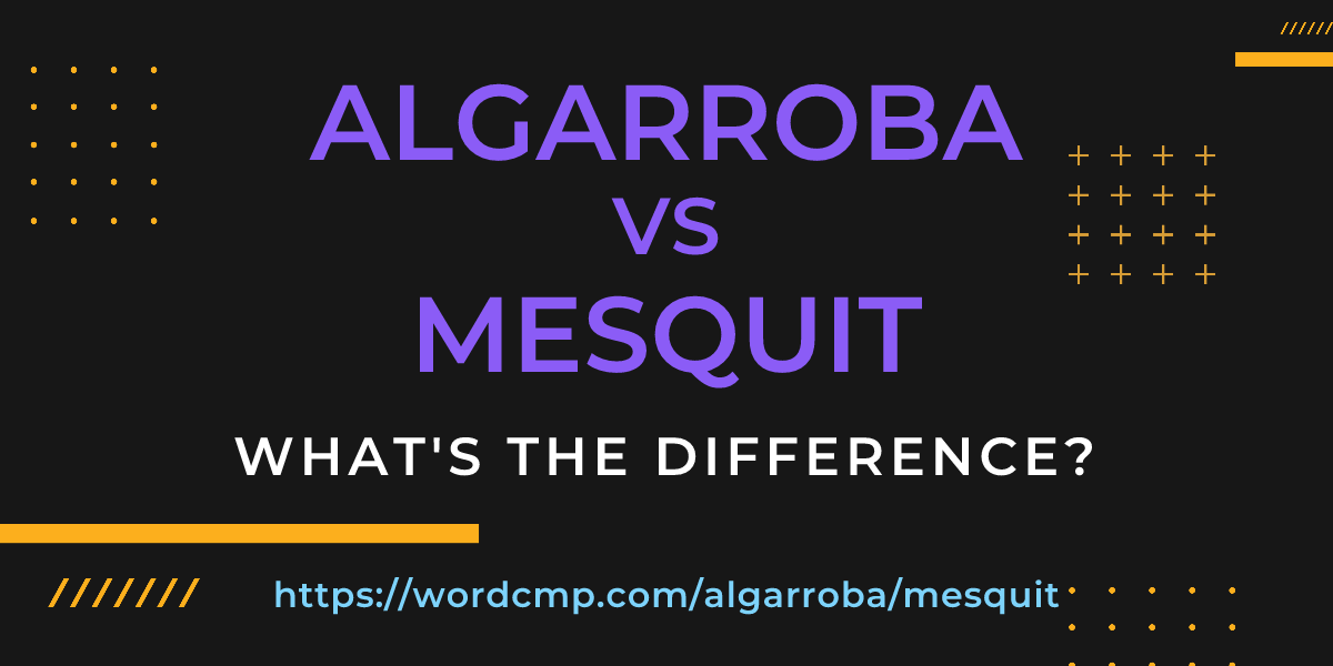 Difference between algarroba and mesquit