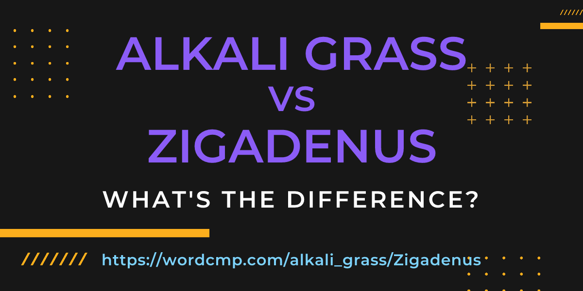 Difference between alkali grass and Zigadenus