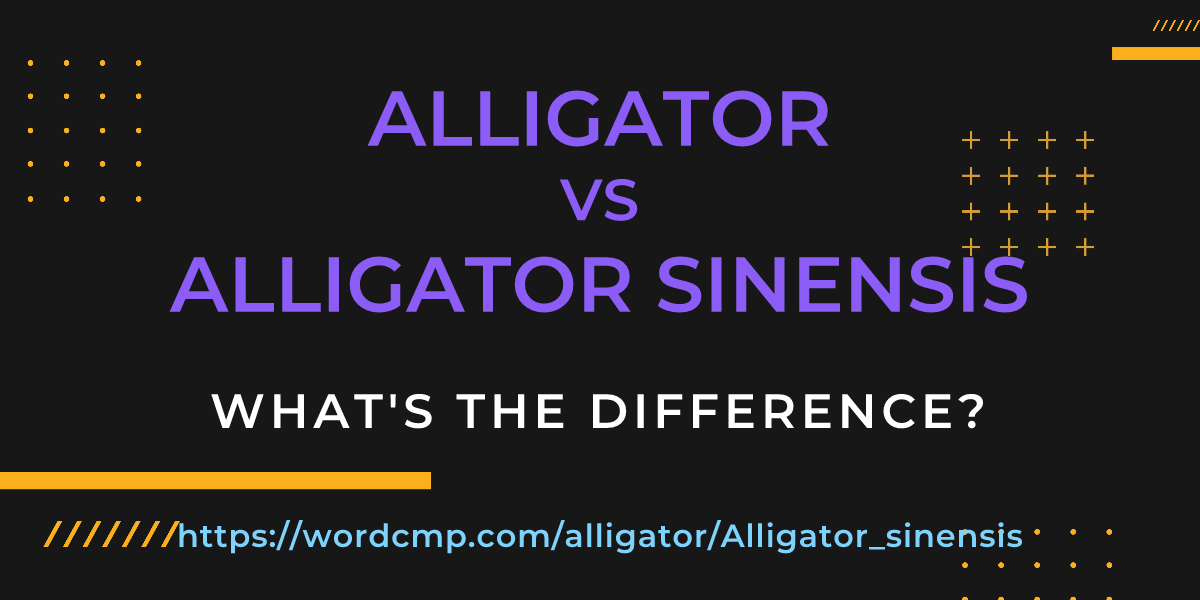Difference between alligator and Alligator sinensis